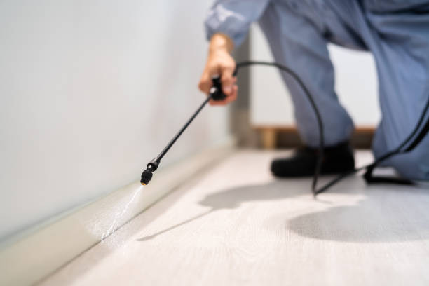 Licensed Pest Control service in Tower City, PA - Show Me Pest Control